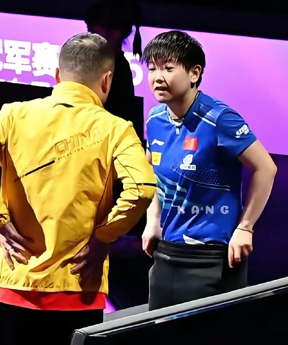 中国羽毛球队逆转印尼羽毛球队，马琳一己之力扛起全队的简单介绍