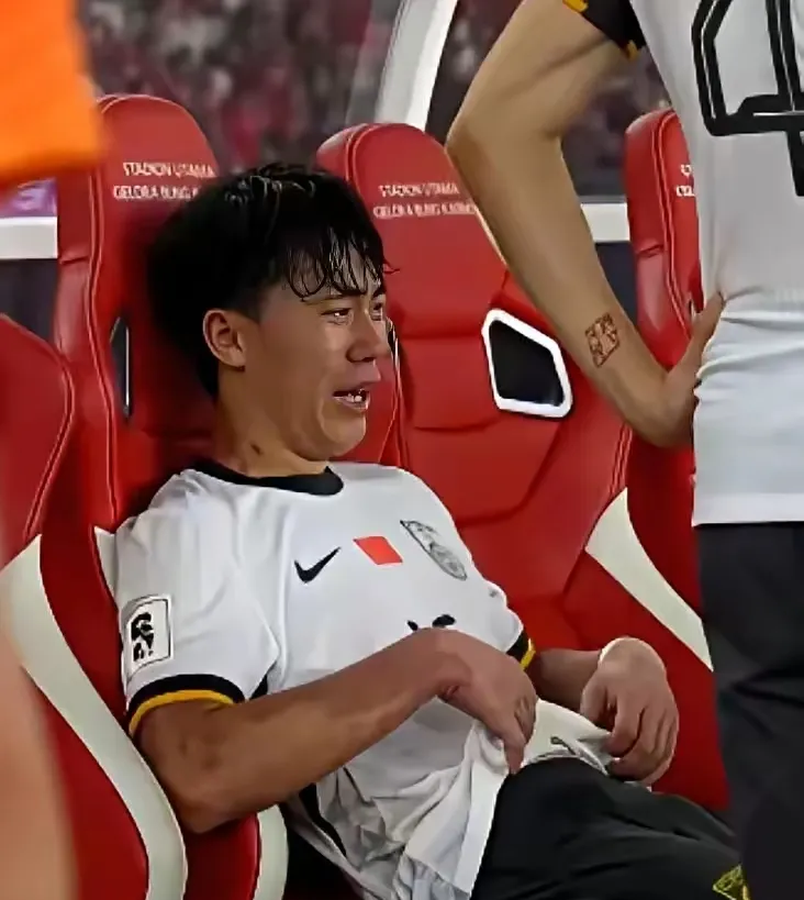 关于中国队绝杀丹麦队，桃田贤斗刷新纪录的信息