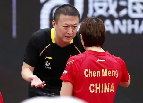 瑞典队碾压法国队，王皓关键制胜