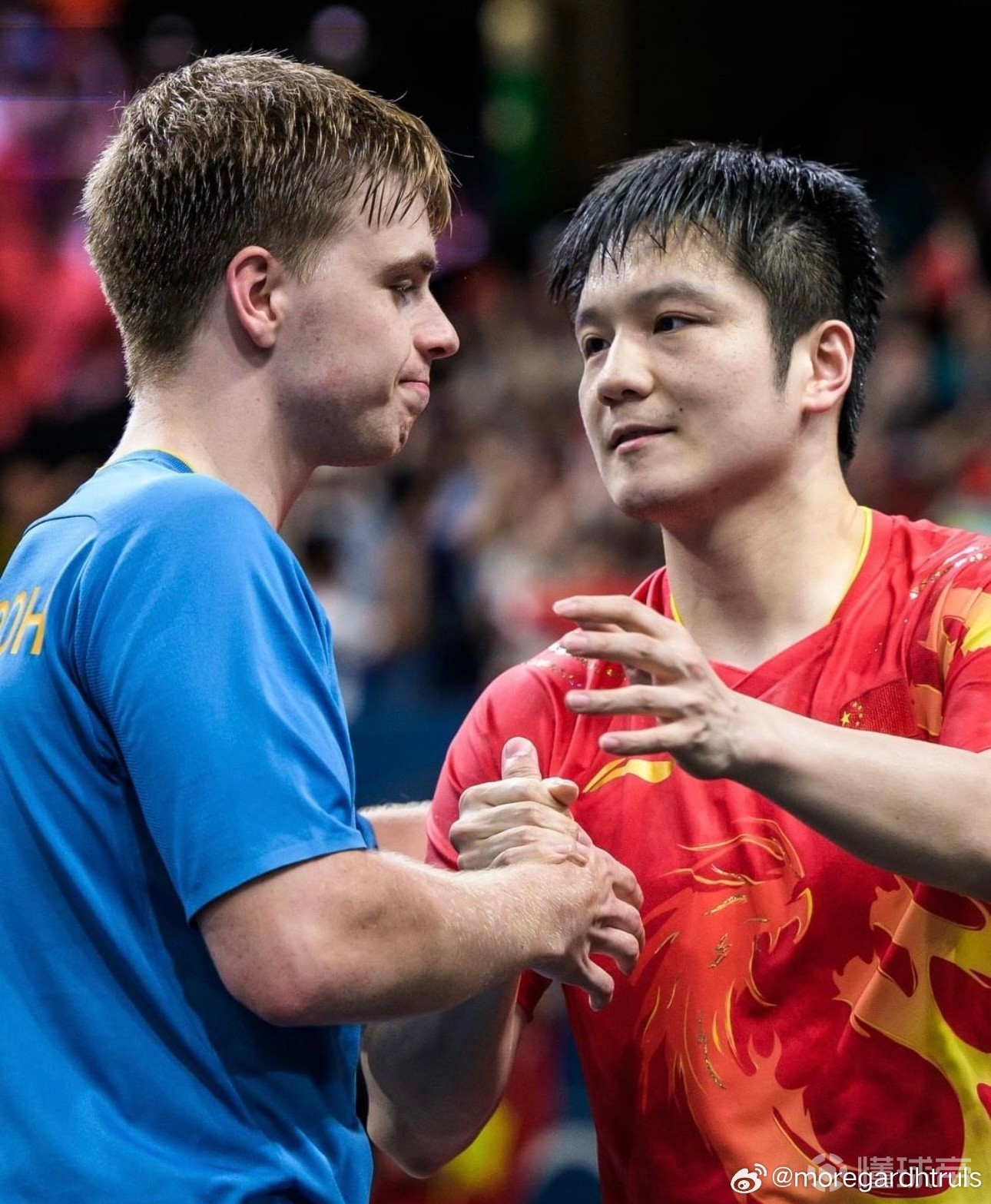 包含瑞典乒乓球队碾压韩国乒乓球队，樊振东送出助攻的词条