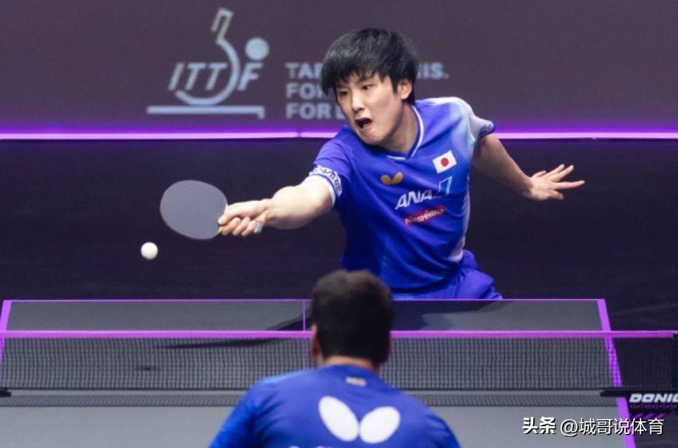 包含波兰乒乓球队爆冷日本乒乓球队，奥恰洛夫高光表现的词条