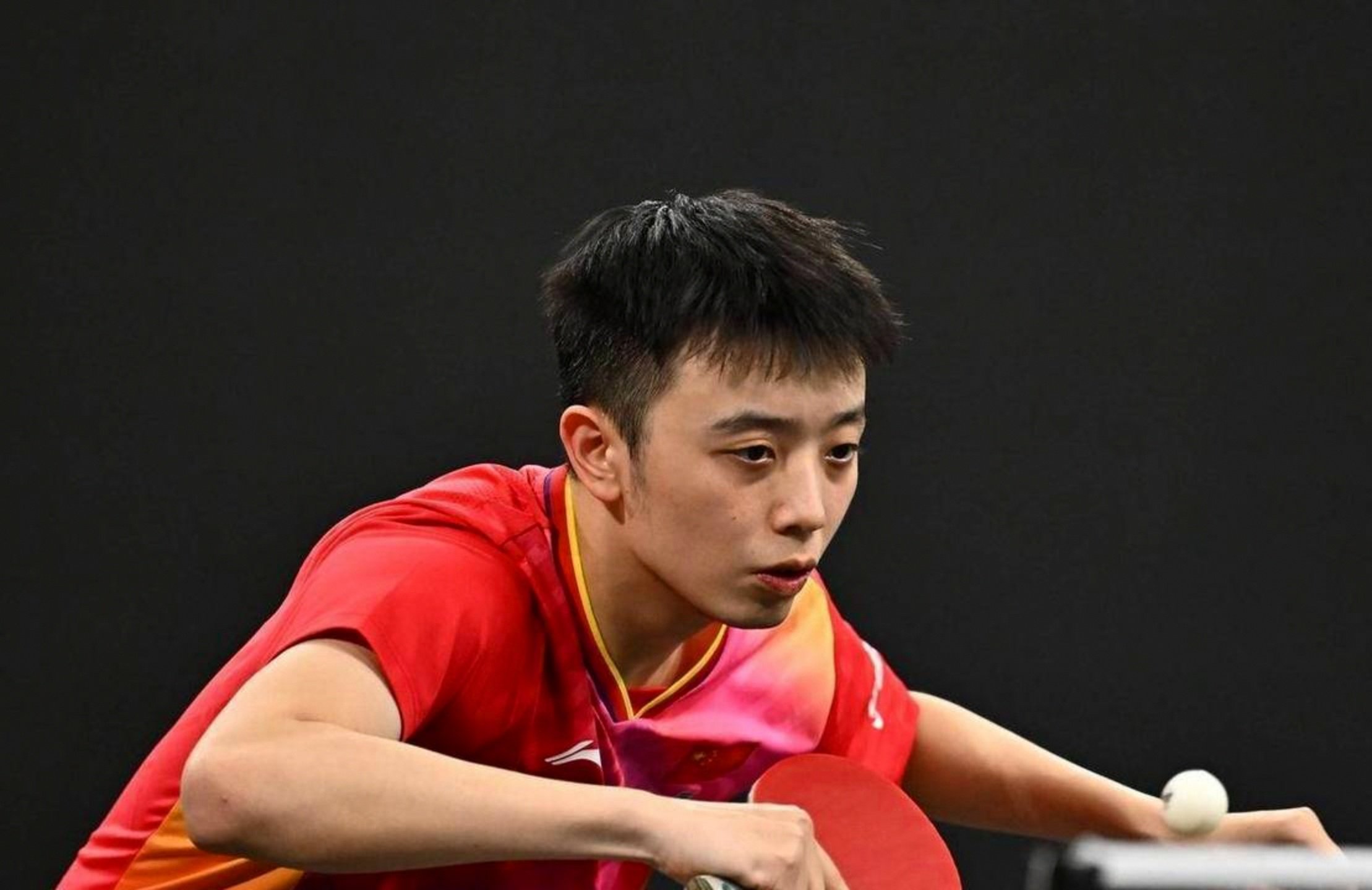 包含波兰乒乓球队爆冷日本乒乓球队，奥恰洛夫高光表现的词条