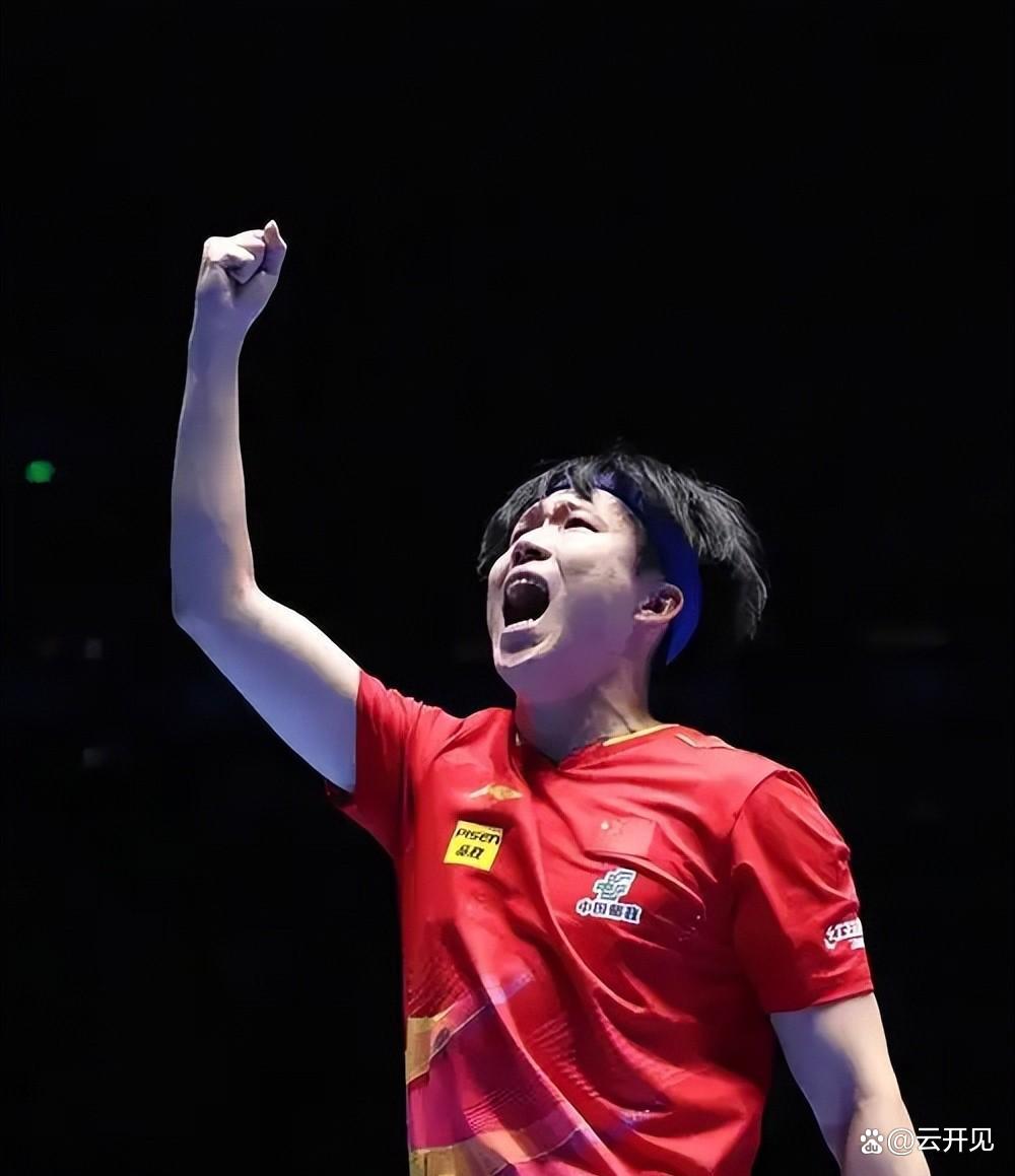 中国乒乓球队横扫波兰乒乓球队，王皓爆发神勇的简单介绍